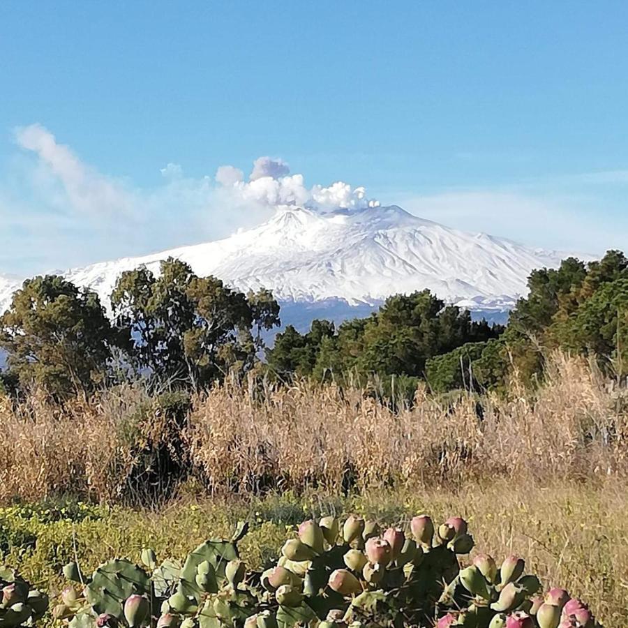 Casa Donna Rosaria Tra Etna E Taormina Apartment Riposto Luaran gambar